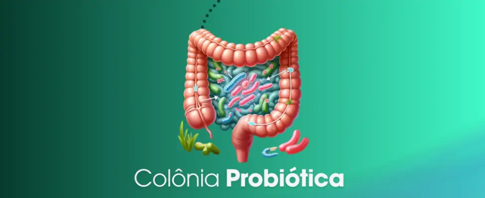 Plano-Detox-Probiótico-Colônias