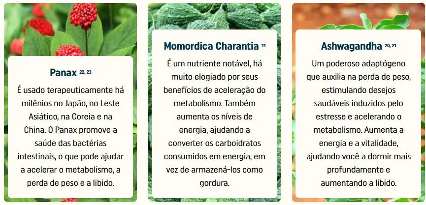 Nagano Tonic que você encontrará-2